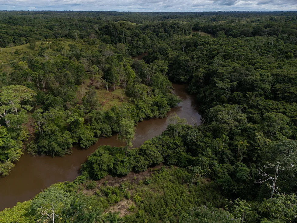 Outgoing Colombian Environment Minister Warns New Government Could Reverse Climate and Conservation Gains