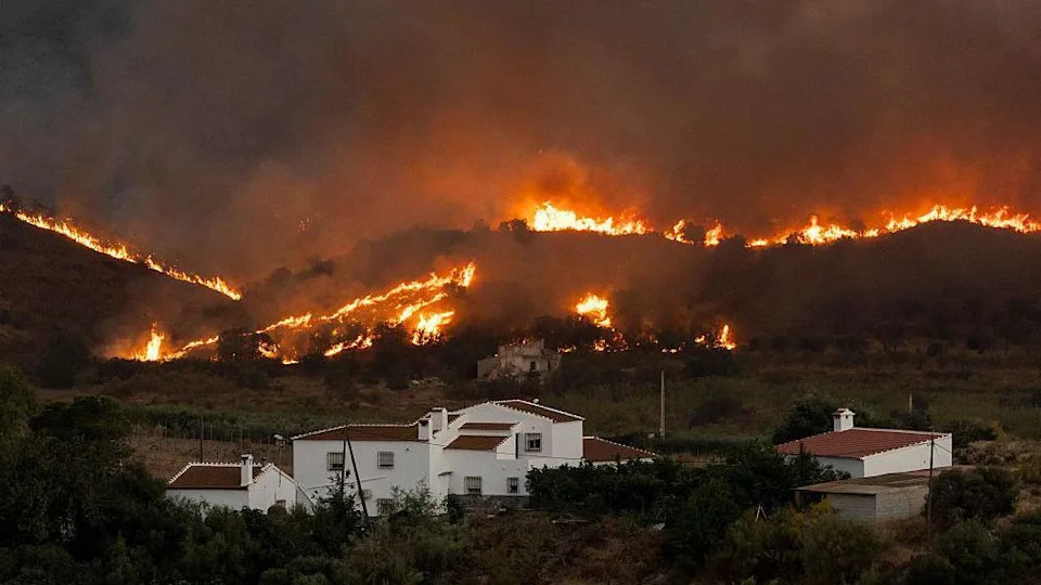 Požar kod Bedara: Najmanje 12 Poginulih, Stotine Vatrogasaca Bore Se Sa Plamenom