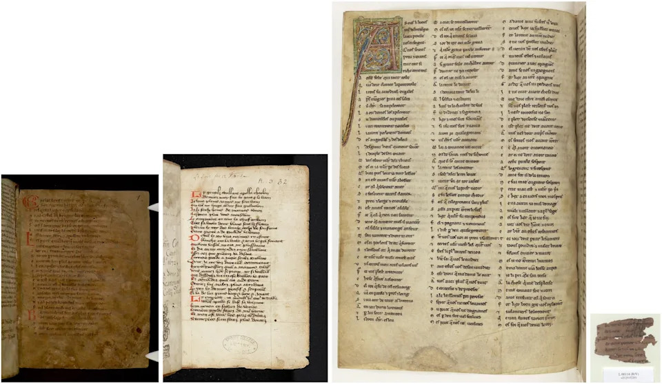 Lost Legends: Study Suggests Up to 60% of Medieval Knightly Tales Have Vanished