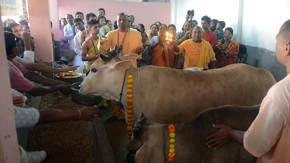 Muslimanska sudija u Indiji dobija pretnje nakon što je osudila 'gau rakshake' — 14 osuđeno na doživotni zatvor