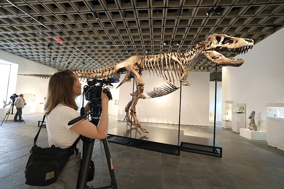Gus Na Aukciji I Antarktički Titanosaur: Šta Nam Kosti Dinosaura Kažu O Klimi