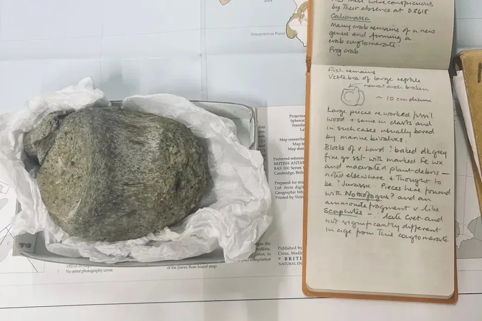 Gus Na Aukciji I Antarktički Titanosaur: Šta Nam Kosti Dinosaura Kažu O Klimi