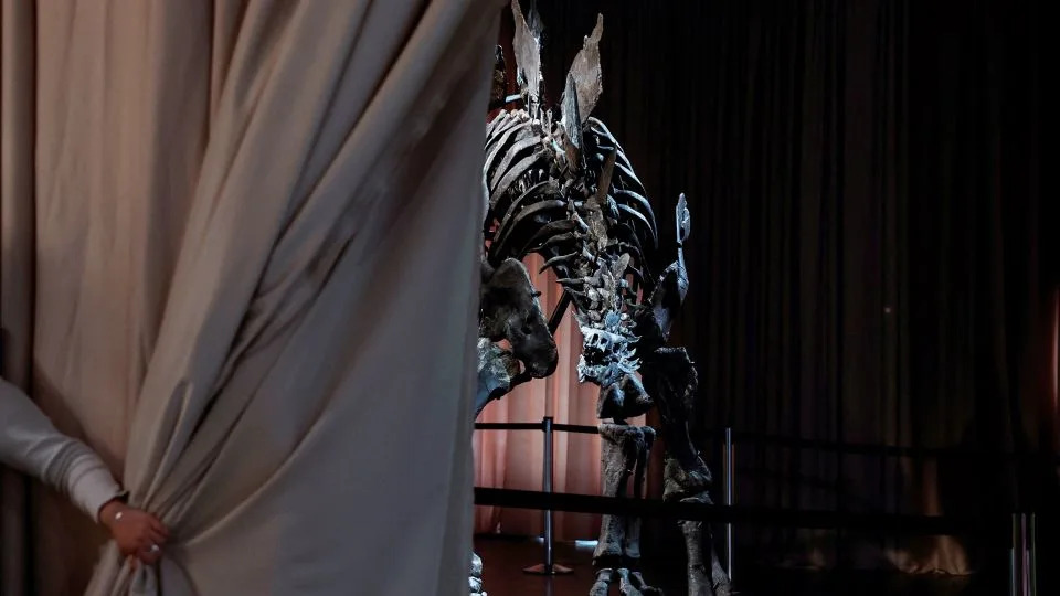 Pronađen T. rex „Gus“ iz Hell Creek‑a — jedan od najvećih, sada ide na aukciju i izaziva polemiku