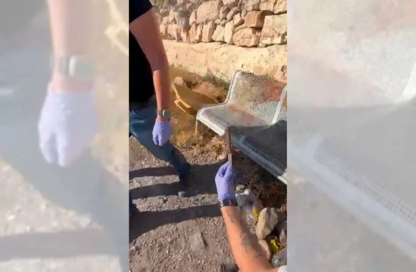 Policija Uhapsila 16-Godišnjeg Palestinca Koji Je Priznao Plan Napada Na Vojnika IDF-a i Namjeru Da Postane „Šehid”