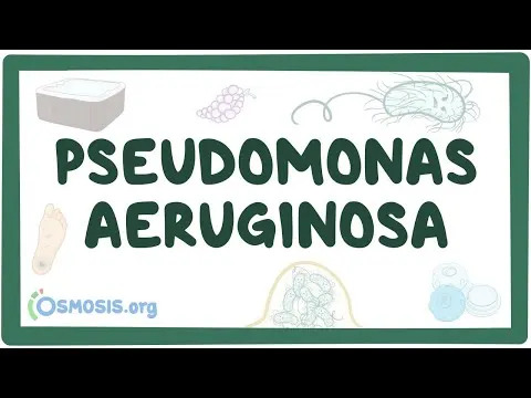Antibiotik Poslednje Linije Pod Pretnjom: Mutacije KPC‑71 i KPC‑78 Smanjuju Efikasnost Ceftazidim‑Avibaktama