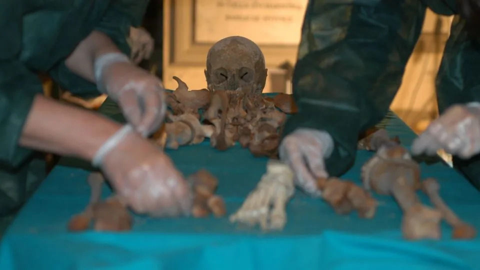 Misterija Medici: Nova drevna DNK ukazuje da su Francesco I i brat umrli od malarije