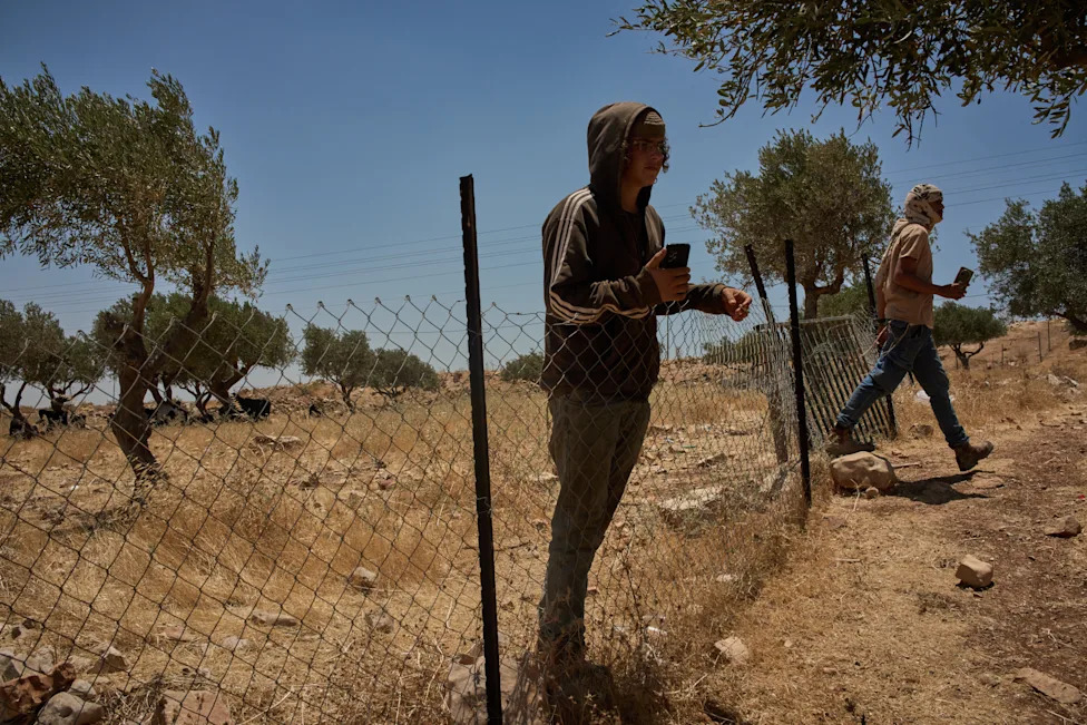 Pod barjacima: Kako naselja menjaju život palestinskih pastira u Masafer Jati i Jordanskoj dolini