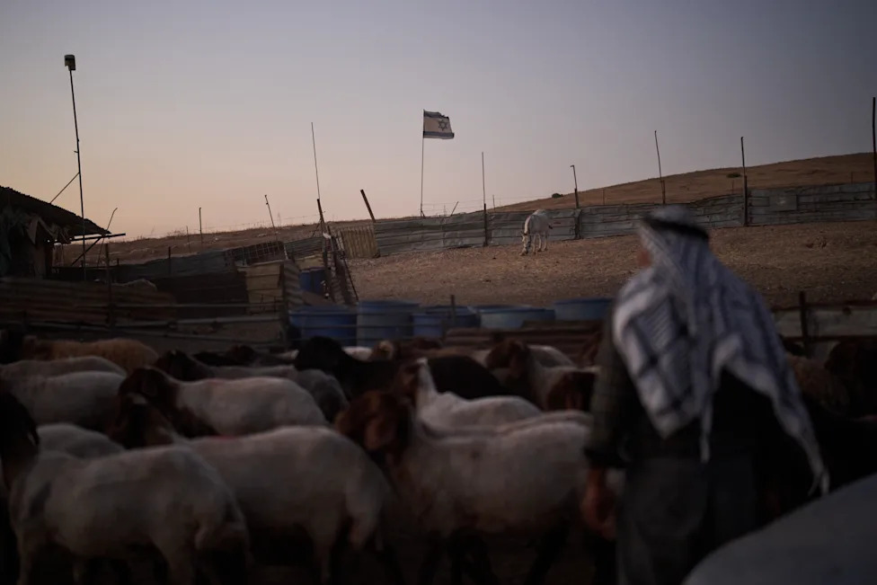 Pod barjacima: Kako naselja menjaju život palestinskih pastira u Masafer Jati i Jordanskoj dolini