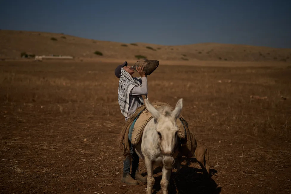 Pod barjacima: Kako naselja menjaju život palestinskih pastira u Masafer Jati i Jordanskoj dolini