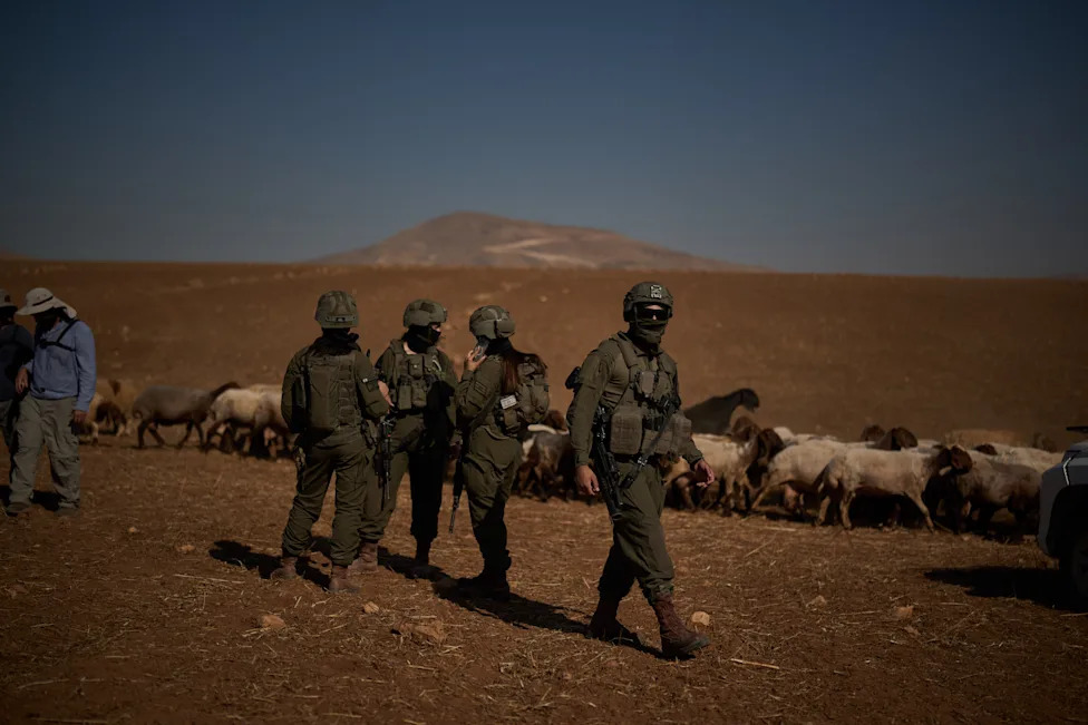 Pod barjacima: Kako naselja menjaju život palestinskih pastira u Masafer Jati i Jordanskoj dolini