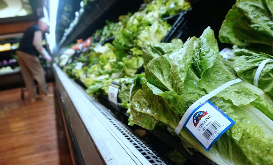 CDC istražuje skoro 7.000 prijava ciklosporijaze u SAD: moguće povezanost sa salatama i lancima brze hrane