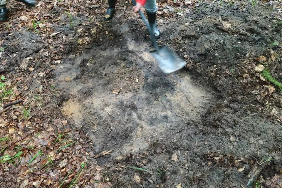 Rare 2,700-Year-Old Bronze Sword Found Standing Upright in Polish Forest