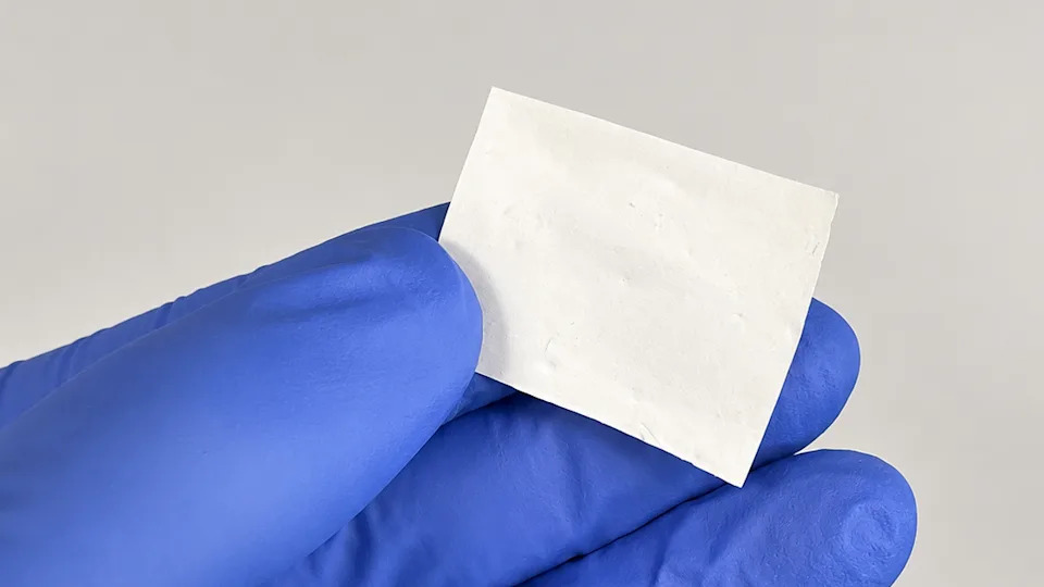 Biljni dvostrani zavoj oslobađa antibiotike i smanjuje formiranje biofilma za preko 90%