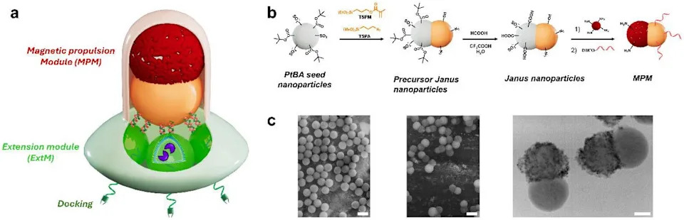 Novi Modularni Nanoroboti Iz Bazela: Precizno Ciljanje Ćelija Raka I Višekratna Upotreba