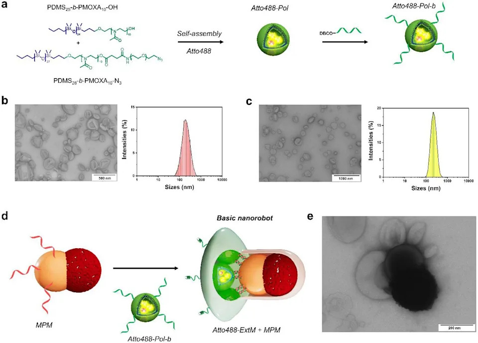 Novi Modularni Nanoroboti Iz Bazela: Precizno Ciljanje Ćelija Raka I Višekratna Upotreba