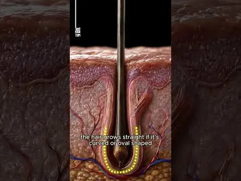 Scientists Explain Why Some Hair Is Curly — The Answer Lies Beneath the Skin
