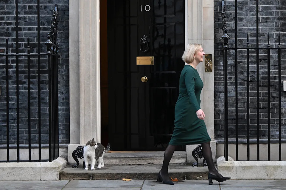 Larry, Mačak 10 Downing Streeta, Dočekuje Andyja Burnhama — 15 Godina 'Chief Mouser' U Fotografijama