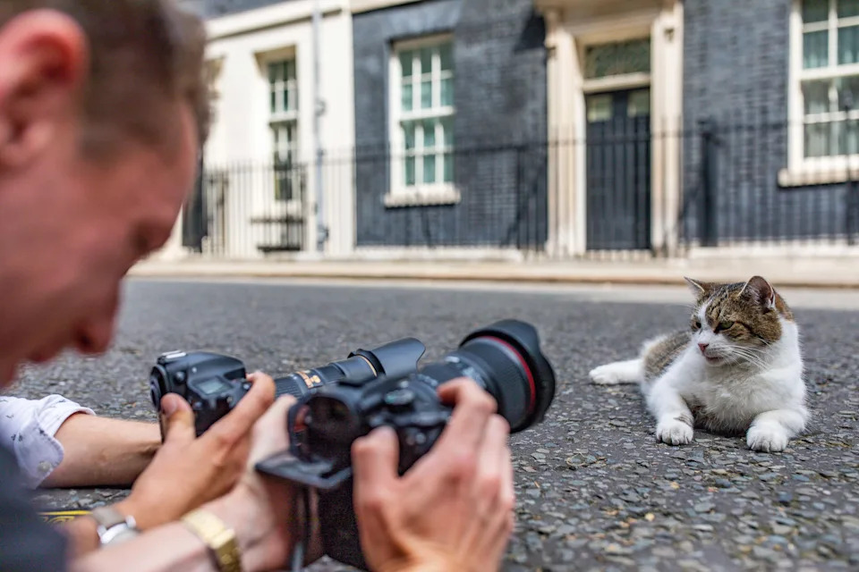 Larry, Mačak 10 Downing Streeta, Dočekuje Andyja Burnhama — 15 Godina 'Chief Mouser' U Fotografijama
