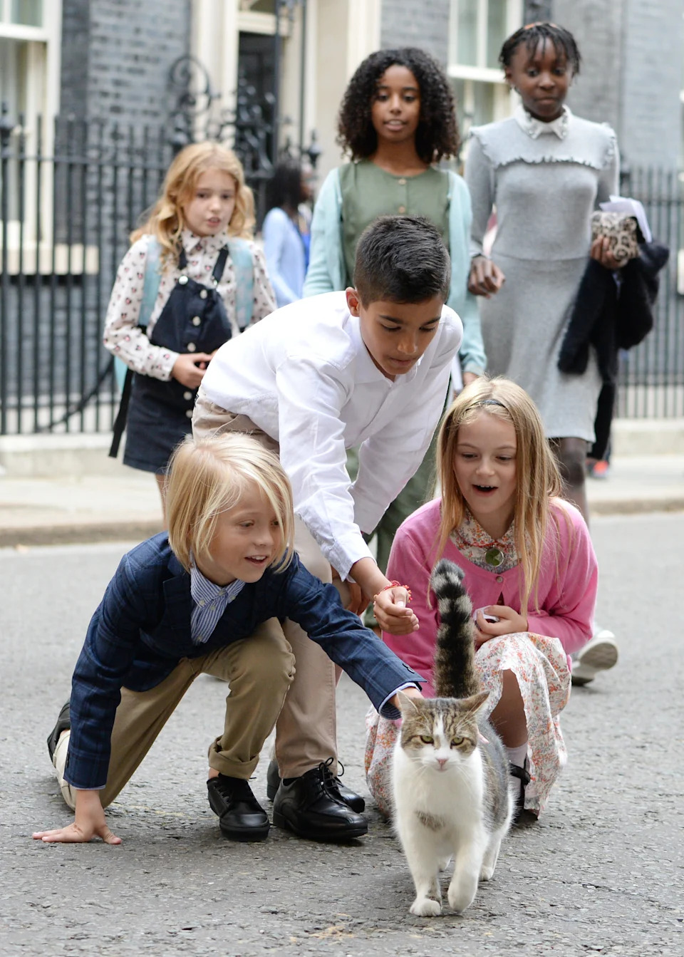 Larry, Mačak 10 Downing Streeta, Dočekuje Andyja Burnhama — 15 Godina 'Chief Mouser' U Fotografijama