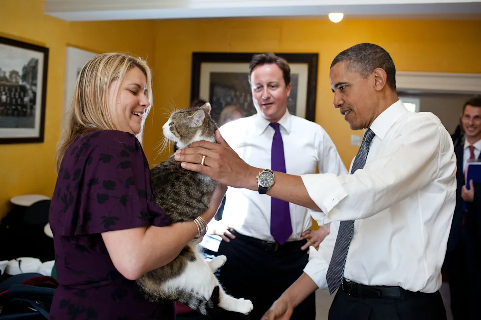 Larry, Mačak 10 Downing Streeta, Dočekuje Andyja Burnhama — 15 Godina 'Chief Mouser' U Fotografijama