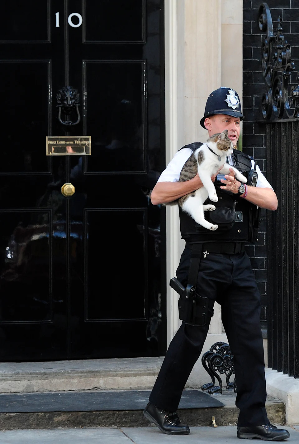 Larry, Mačak 10 Downing Streeta, Dočekuje Andyja Burnhama — 15 Godina 'Chief Mouser' U Fotografijama