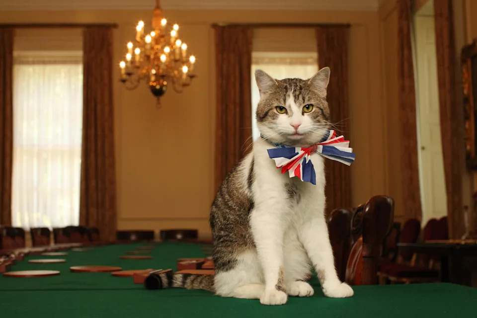 Larry, Mačak 10 Downing Streeta, Dočekuje Andyja Burnhama — 15 Godina 'Chief Mouser' U Fotografijama