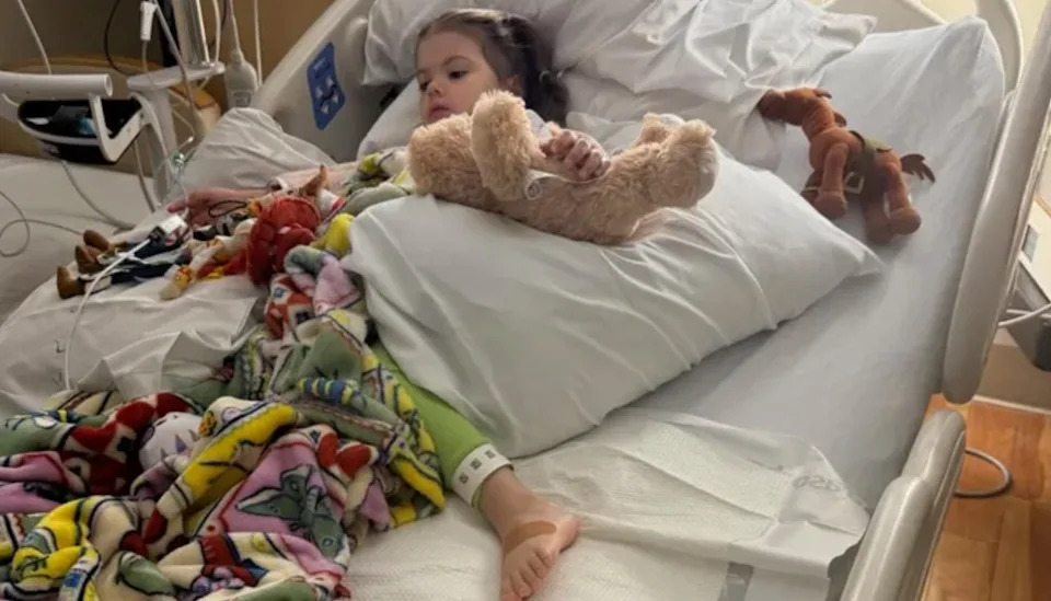 Father Issues Warning After 3-Year-Old Bitten By Rattlesnake Hidden Inside Amazon Package