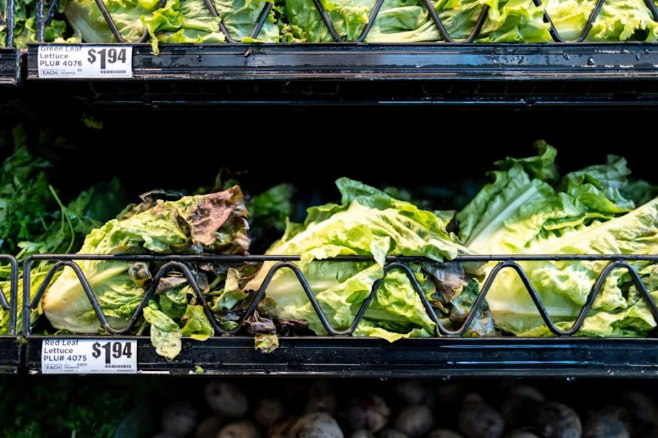 FDA: Lažno‑pozitivan uzorak, ali opoziv Taylor Farms salate ostaje — Kako bezbedno jesti salatu?