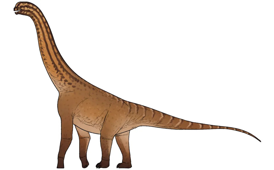 Najstariji neosauropod otkriven u Indiji — fosil pomera istoriju za 10 miliona godina