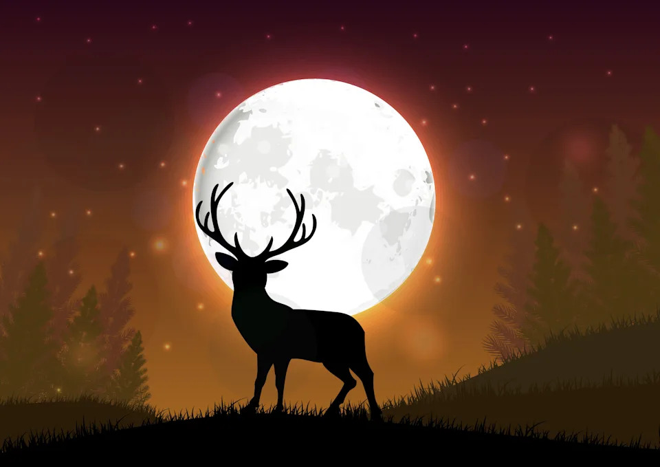 Buck Moon Peaks July 29 — When and How to Watch the Night Sky