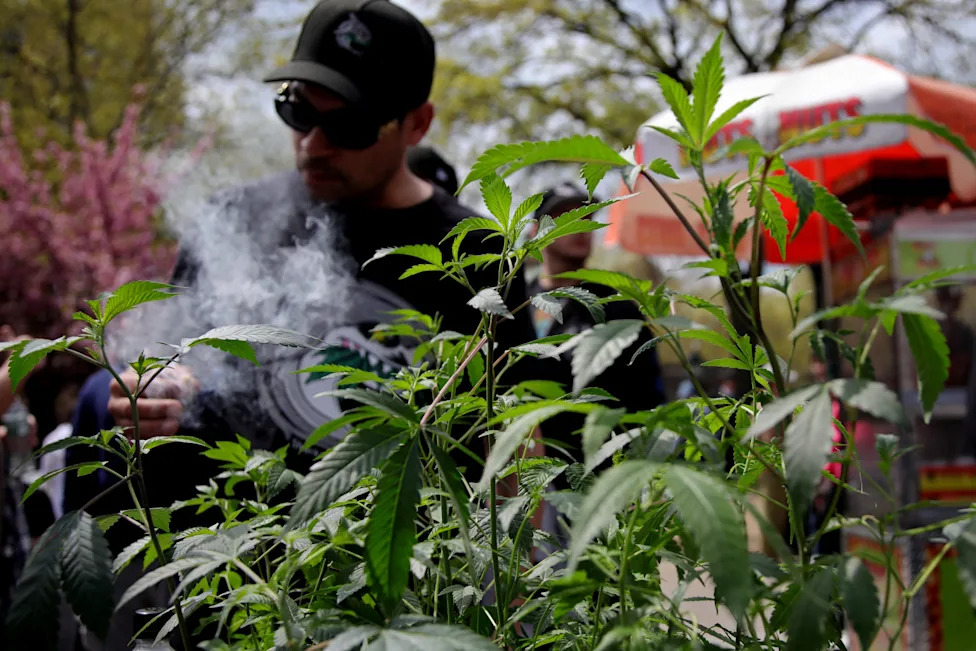 Senate Democrats Reintroduce Bill to Legalize Cannabis Nationwide — Fetterman Among Sponsors