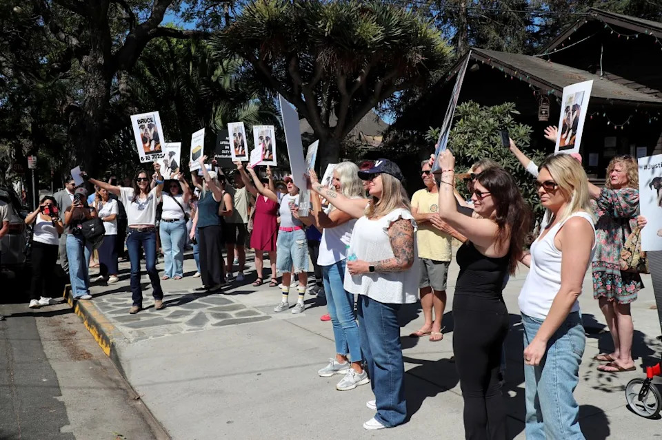 Community Protests After English Bulldog 'Bruce' Allegedly Drowns At Santa Barbara Daycare