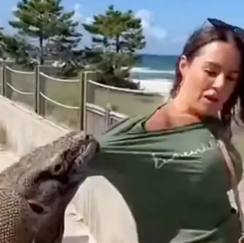Provereno: Viralni „napad“ Komodo zmaja Je FAKE — Video Verovatno Generisan Veštačkom Inteligencijom