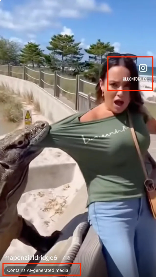 Provereno: Viralni „napad“ Komodo zmaja Je FAKE — Video Verovatno Generisan Veštačkom Inteligencijom