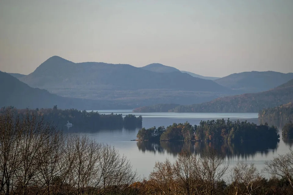 Otkriven Prvi Prenosivi Rak Kod Slatkovodnih Riba: Maligni Melanomi U Somićima Jezera Memphremagog