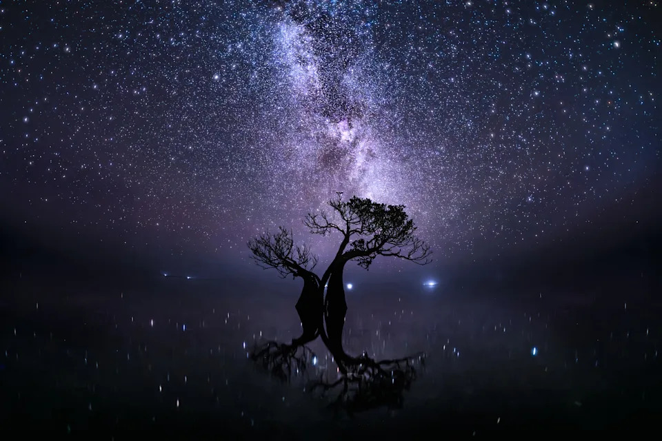 Glowing 'Ghost Net' Wins Mangrove Photography Award — Spotlight on Threat to Coastal Forests