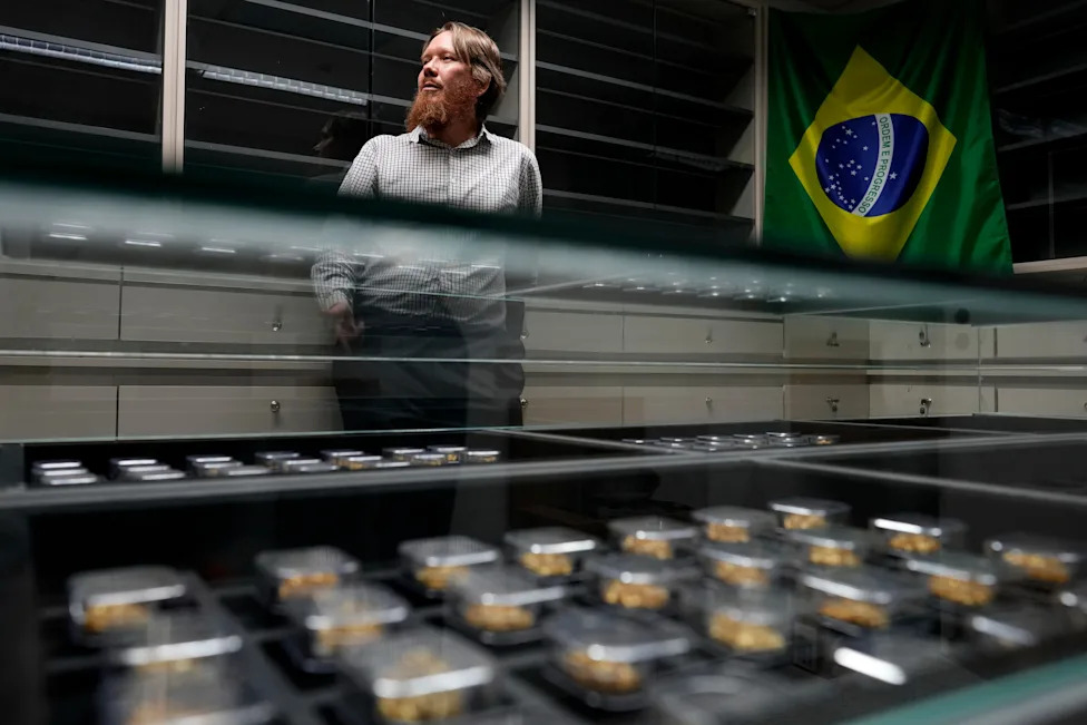 Kako forenzika otkriva poreklo zlata: Brazil koristi „zlatnu laboratoriju“ protiv ilegalnog rudarstva u Amazonu