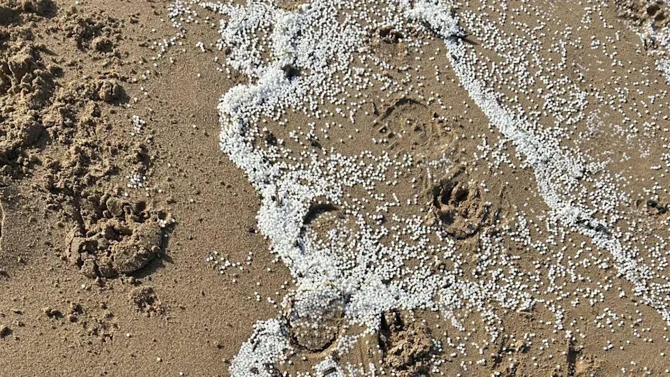 Thousands of Plastic 'Nurdles' Wash Ashore in North-East England — Protests and Cleanup Underway