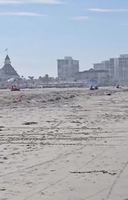 Raw Sewage and Toxic Odors Wash Up on Coronado Beach as Tijuana River Crisis Escalates
