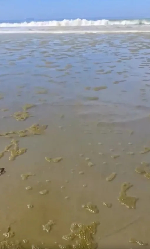 Raw Sewage and Toxic Odors Wash Up on Coronado Beach as Tijuana River Crisis Escalates