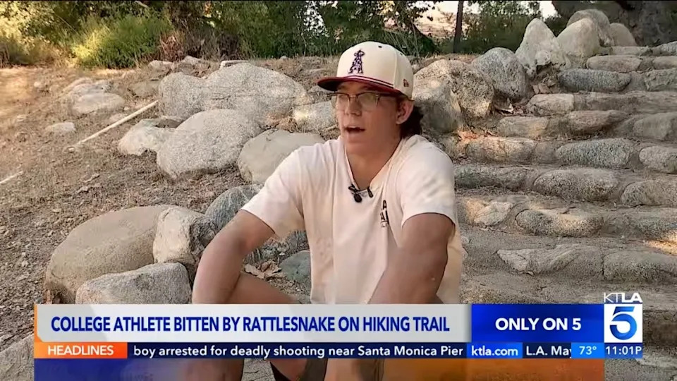 College Baseball Prospect Airlifted After Rattlesnake Bite, Exhausts Local Antivenom Supply