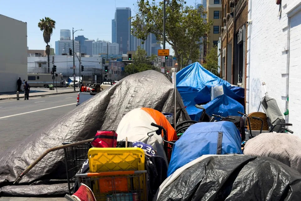 Raman Highlights 49% Drop in District Homelessness While Citywide Numbers Rise