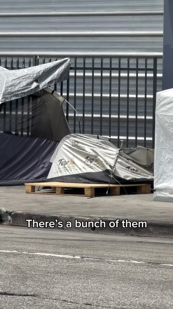 LA Cannabis Company Accused of Turning Skid Row Tents Into Walking Billboards