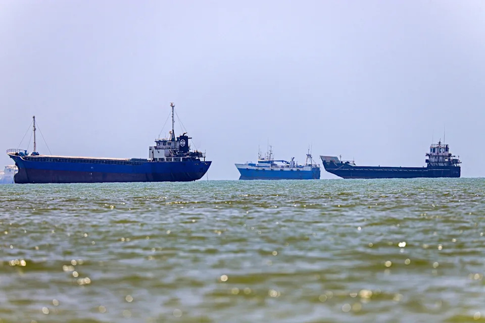Superspreder invazivnih vrsta: Zaustavljeni brodovi kod Tjesnaca Hormuz prete globalnim ekosistemima