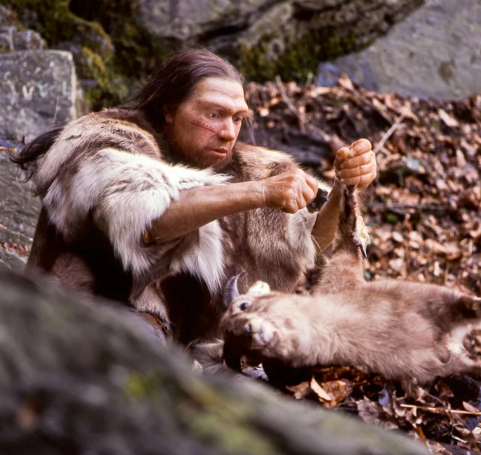 Neandertalci, fermentisano meso i larve muva: novo objašnjenje za visoke δ¹⁵N vrednosti