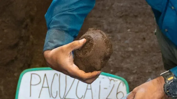 Nearly 3,000-Year-Old Face-Down Burial With Sea-Turtle Vessel Unearthed in El Salvador