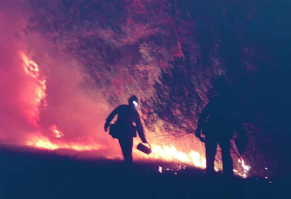 'Zapanjujući' El Niño Ruši Rekorde — Zašto Naučnike Zabrinjava i Šta To Znači Za Svet