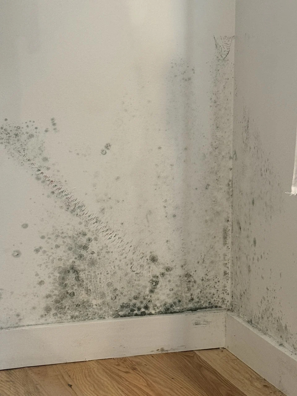 Dream Manhattan Penthouse Becomes Year‑Long Nightmare: Mold, Missing Mail and Safety Fears