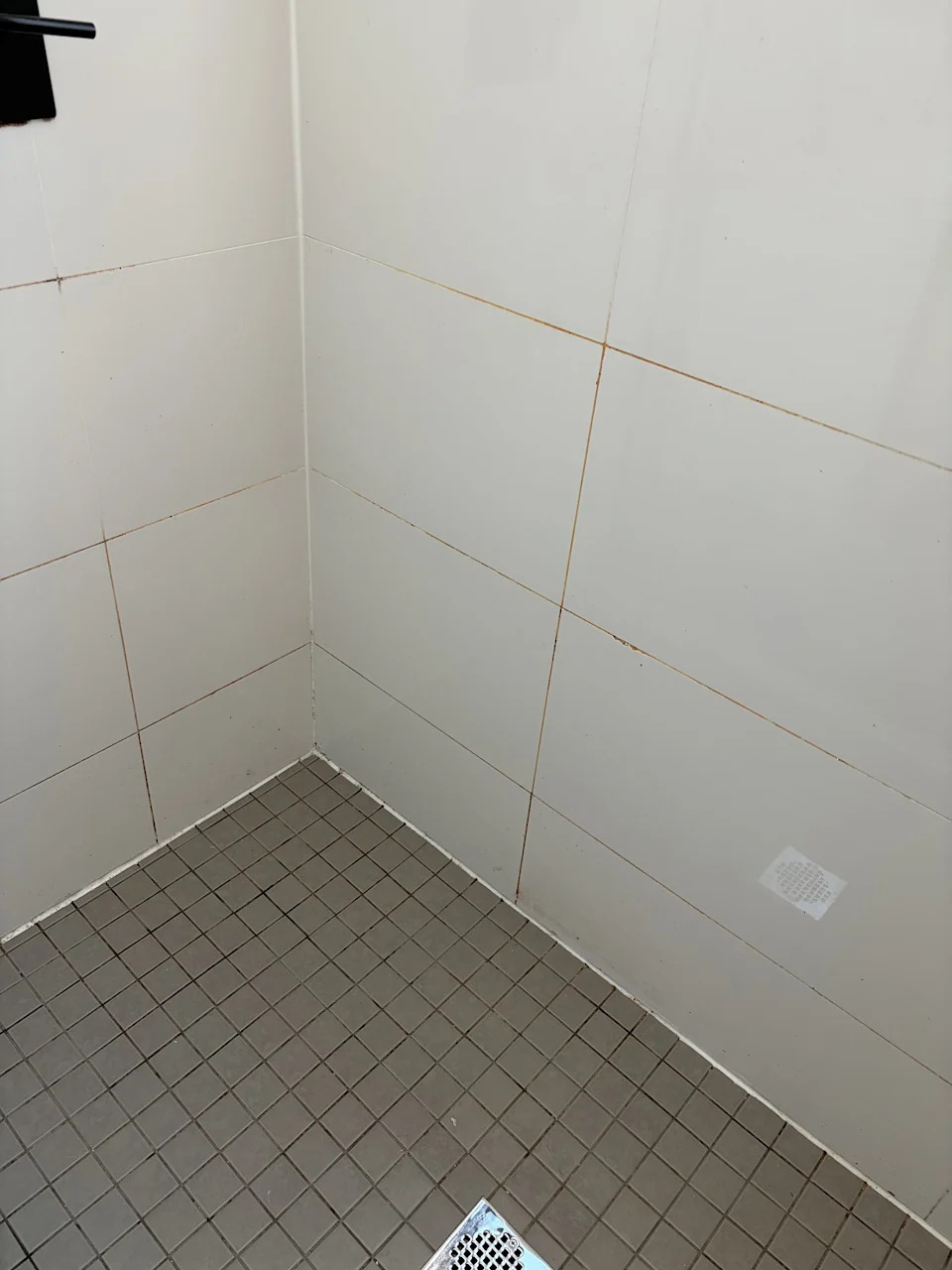 Dream Manhattan Penthouse Becomes Year‑Long Nightmare: Mold, Missing Mail and Safety Fears