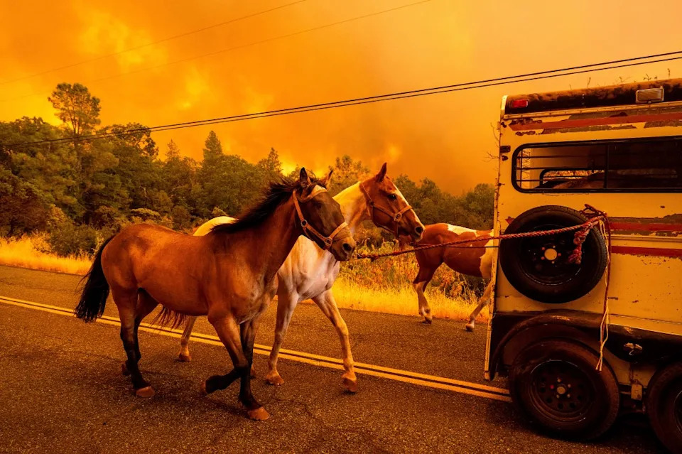 Convicted Arsonist Faces 25 Years to Life for Sparking 2024 Park Fire That Destroyed 713 Structures
